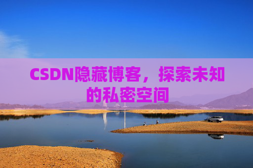 CSDN隐藏博客，探索未知的私密空间
